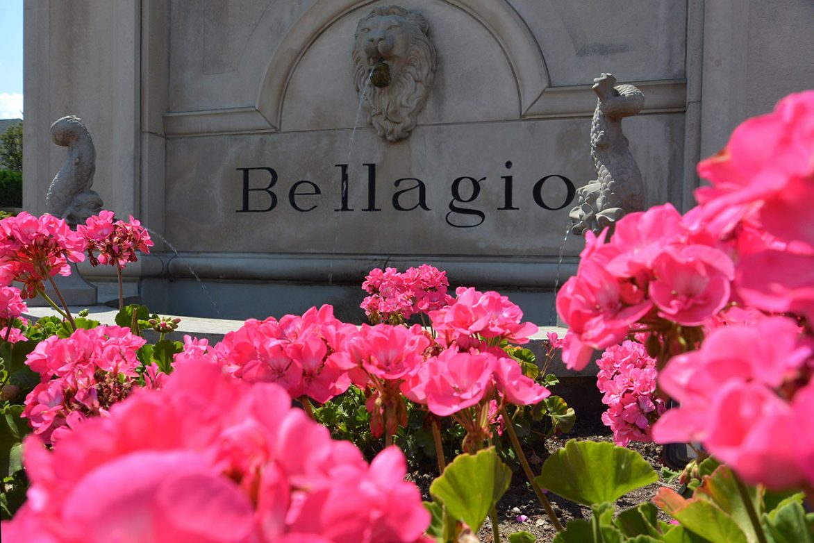 Bellagio | Great Oaks Landscape