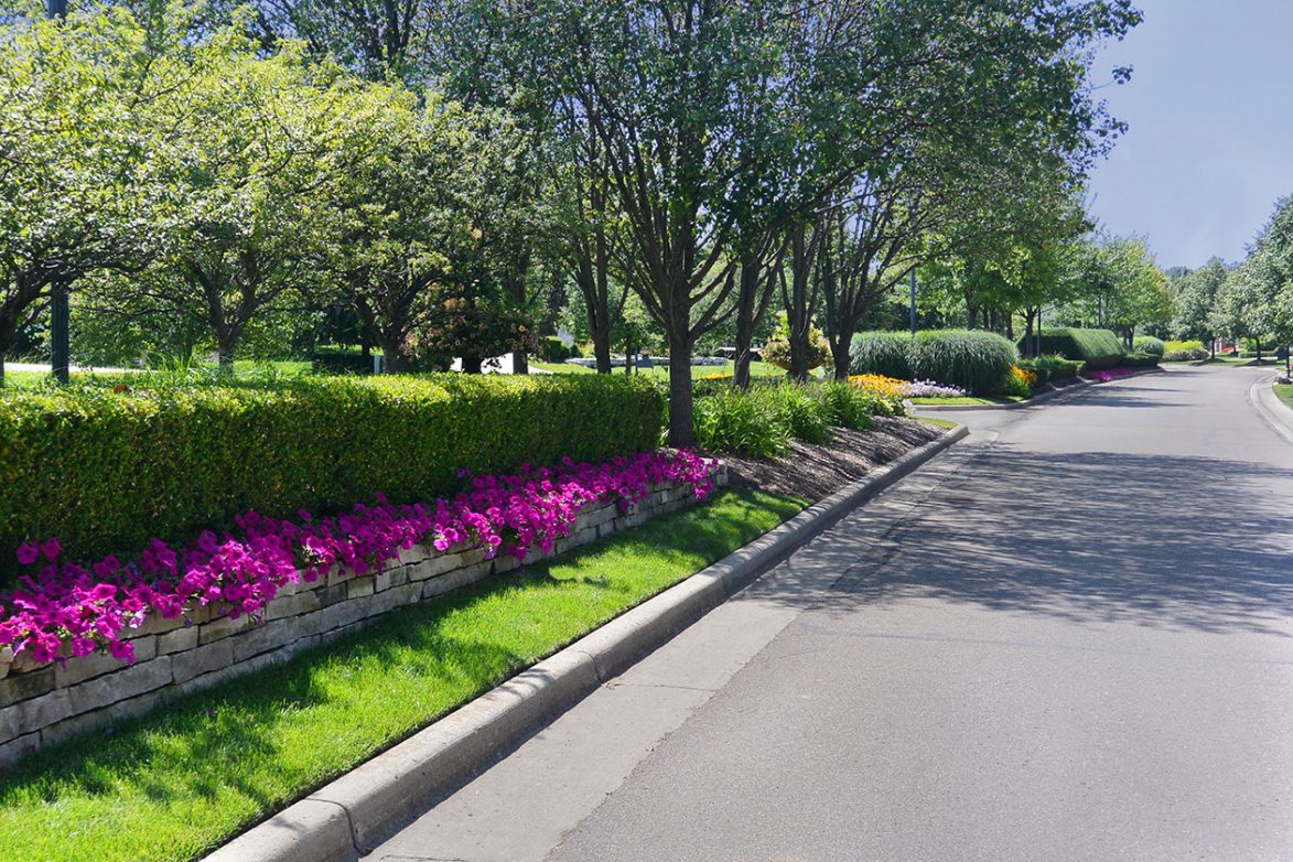 Bellagio | Great Oaks Landscape