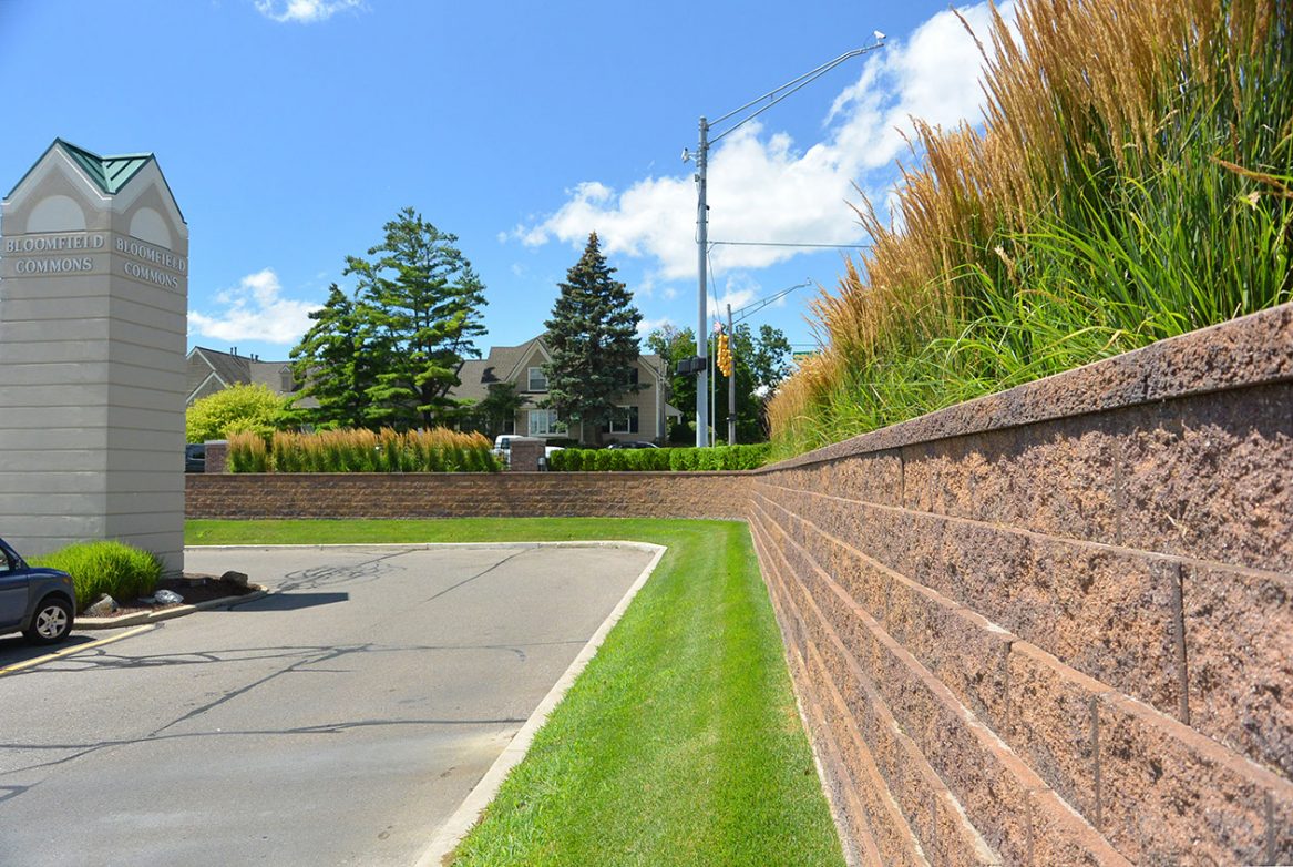 Shopping Center Renovation | Great Oaks Landscape