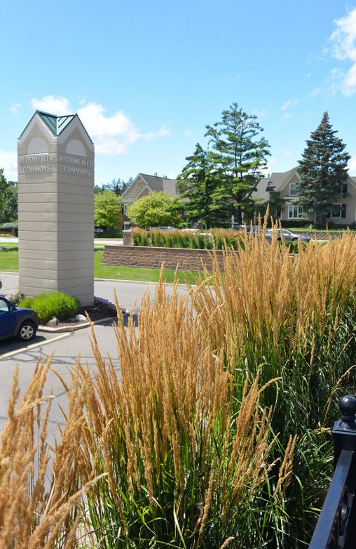 Shopping Center Renovation | Great Oaks Landscape