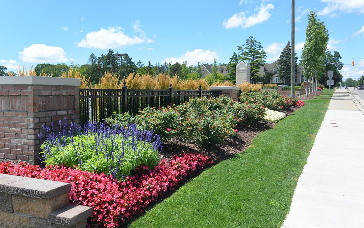 Shopping Center Renovation | Great Oaks Landscape