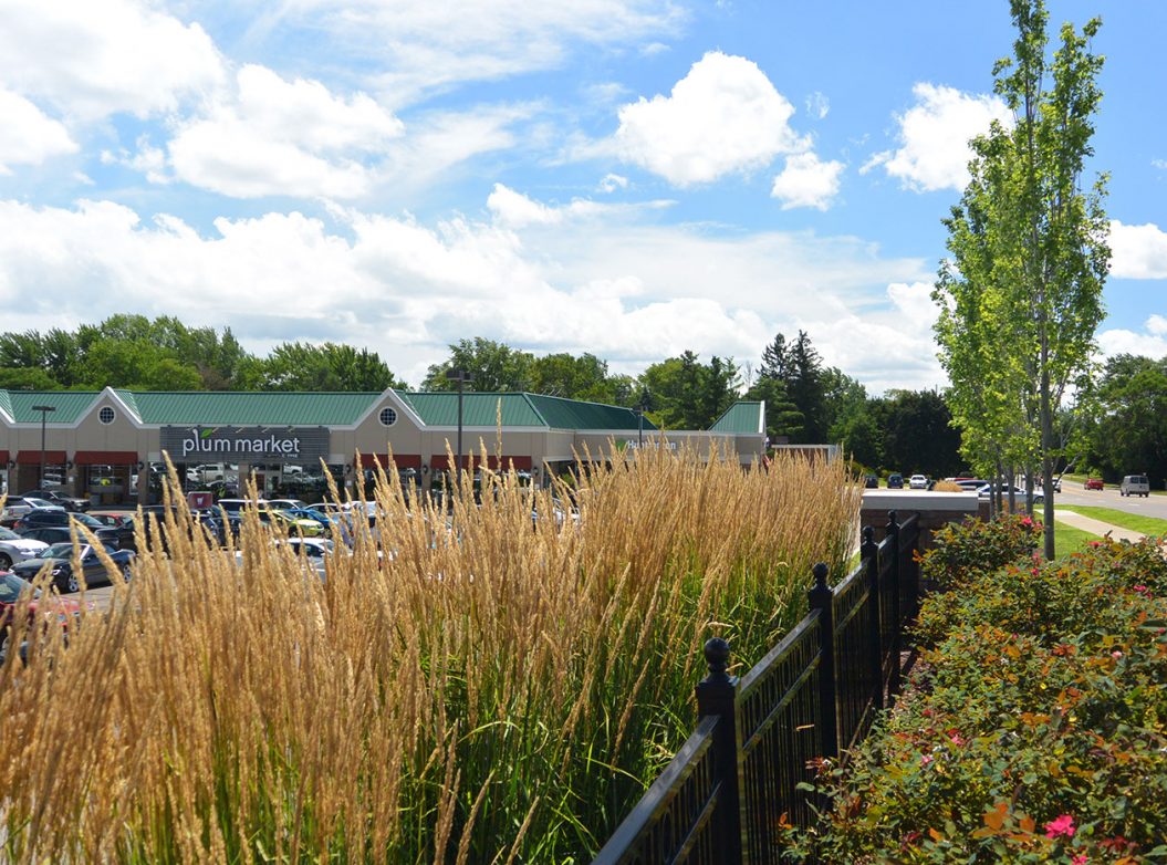 Shopping Center Renovation | Great Oaks Landscape