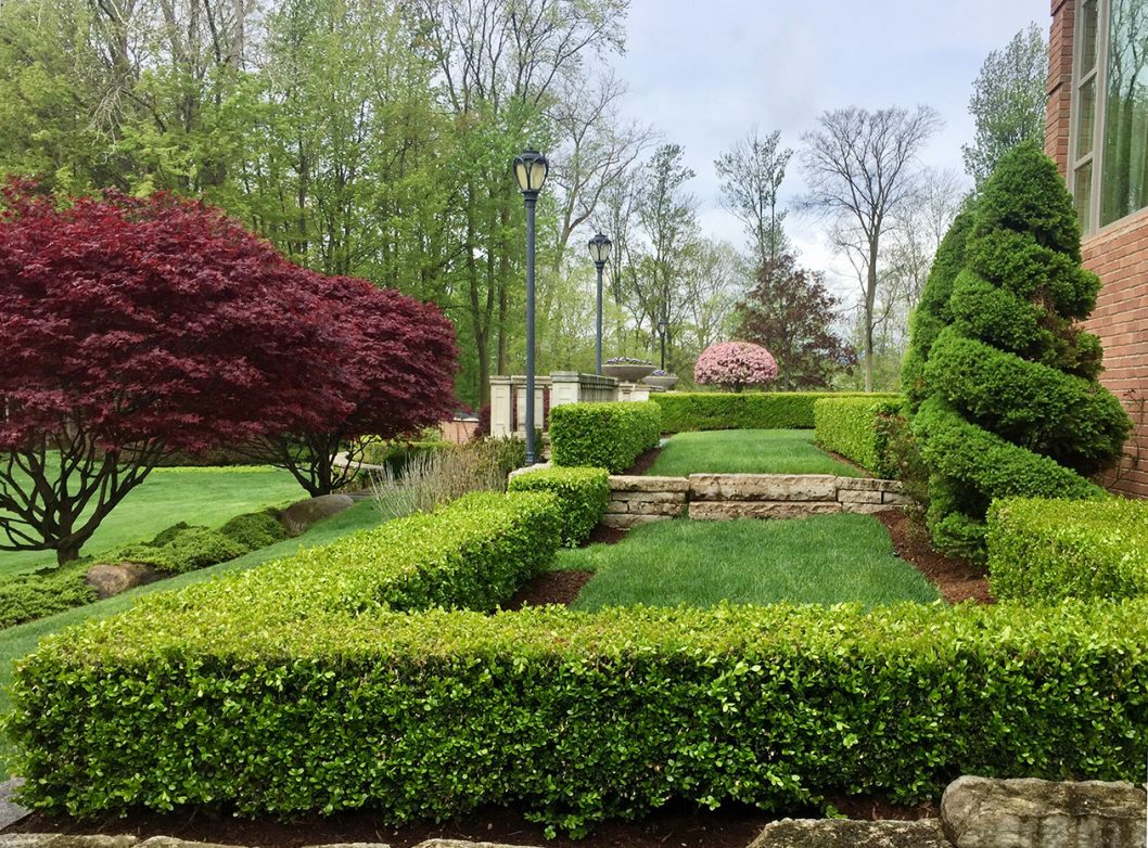 Clinton Township Residence | Great Oaks Landscape