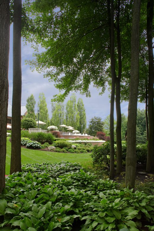 Clinton Township Residence | Great Oaks Landscape