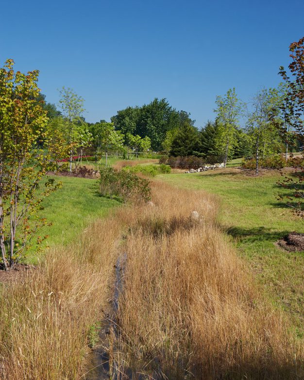 George George Memorial Park | Great Oaks Landscape