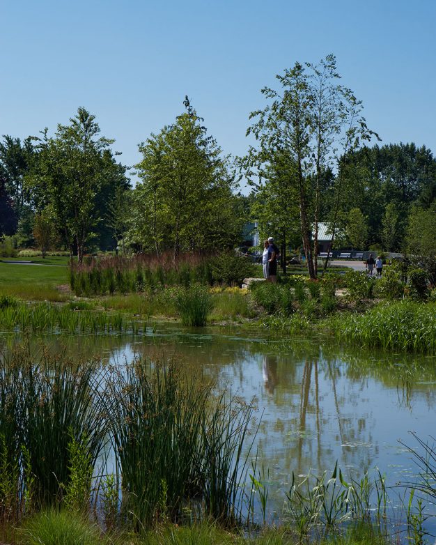 George George Memorial Park | Great Oaks Landscape