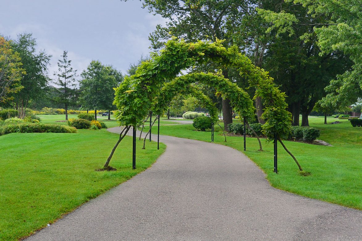 George George Memorial Park | Great Oaks Landscape