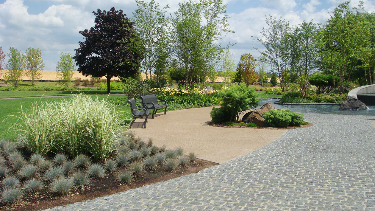 George George Memorial Park | Great Oaks Landscape