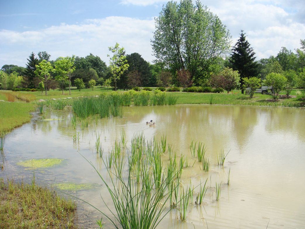 George George Memorial Park | Great Oaks Landscape