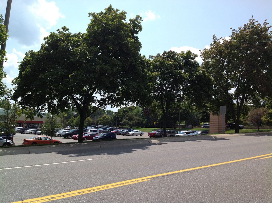 Shopping Center Renovation | Great Oaks Landscape