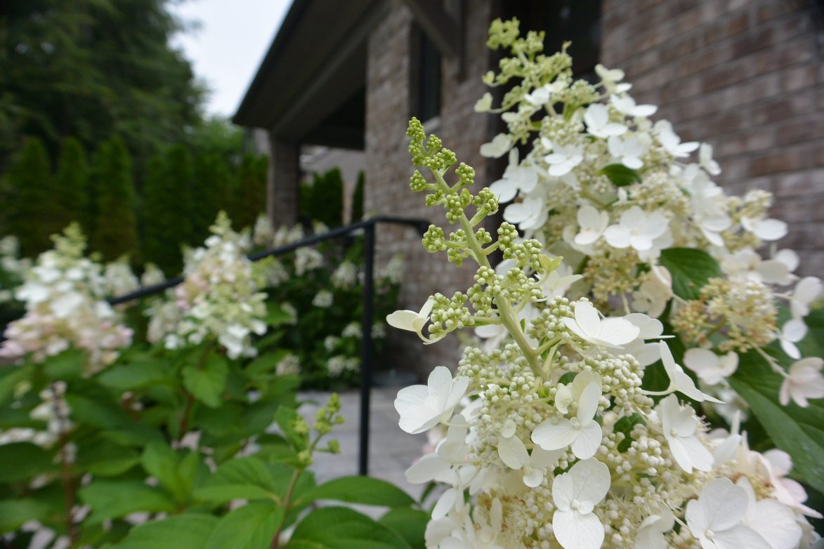 Birmingham Residence | Great Oaks Landscape