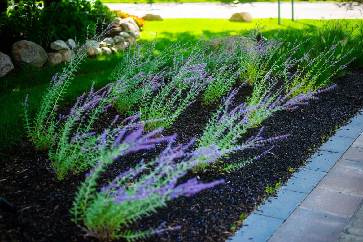 Bloomfield Hills Residence | Great Oaks Landscape