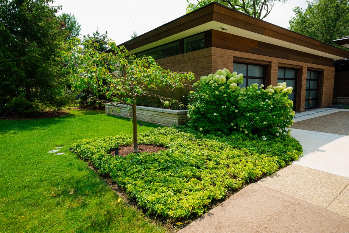 Franklin Residence | Great Oaks Landscape