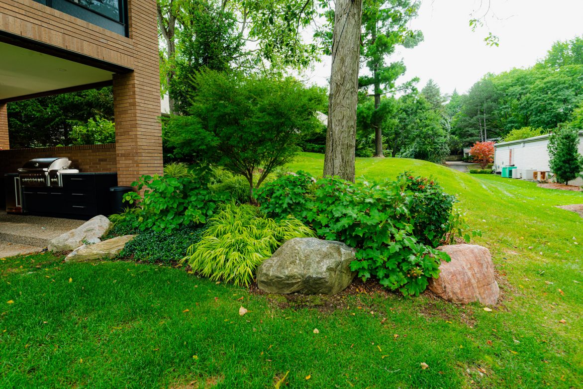 Franklin Residence | Great Oaks Landscape