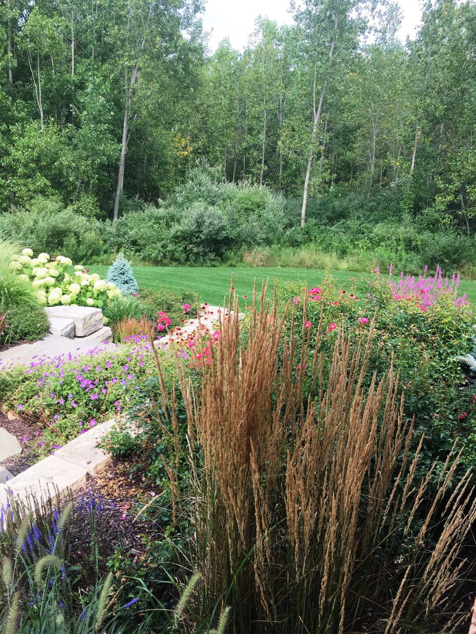 Rochester Residence | Great Oaks Landscape
