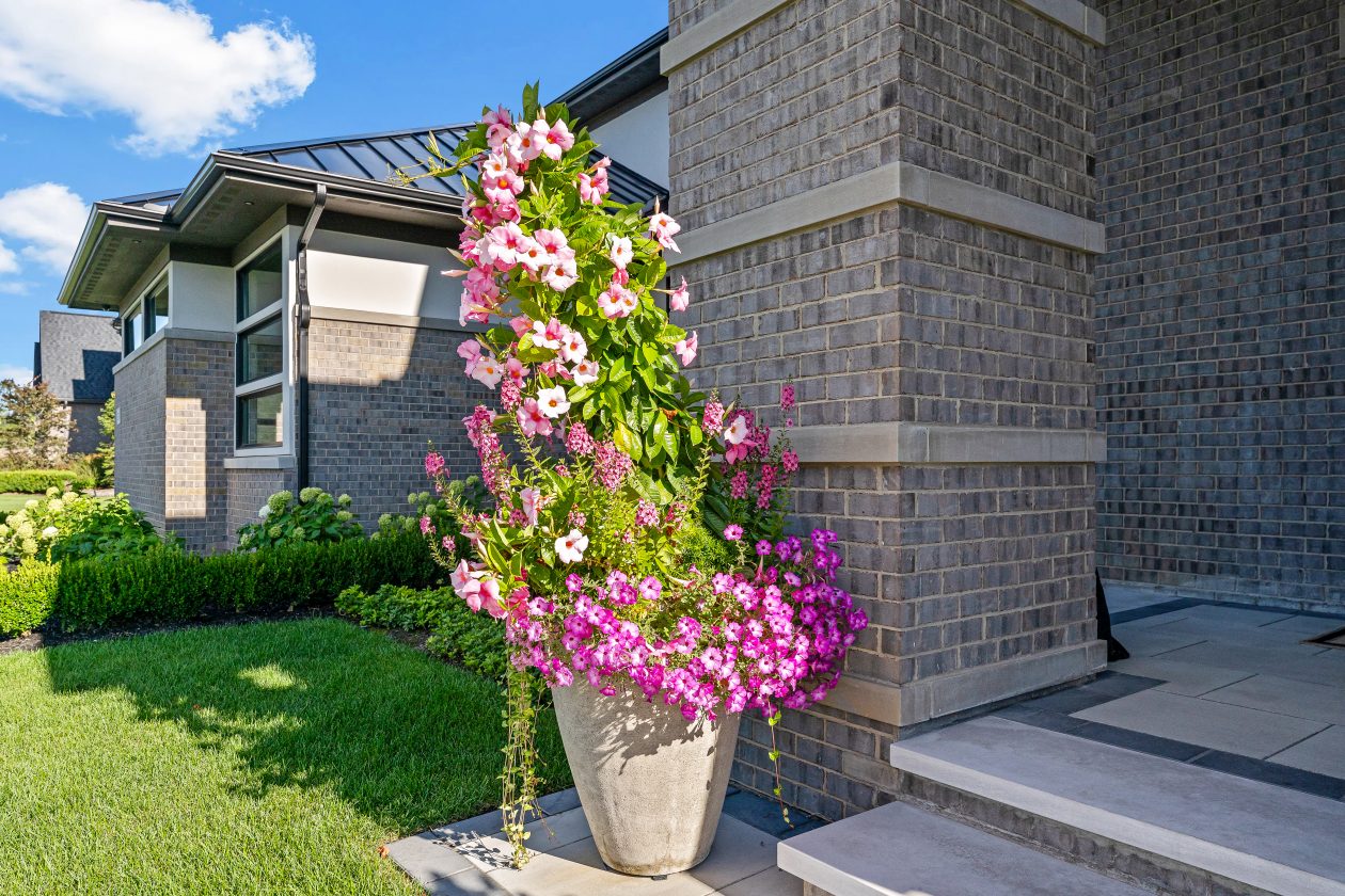 The Luxe Backyard | Great Oaks Landscape